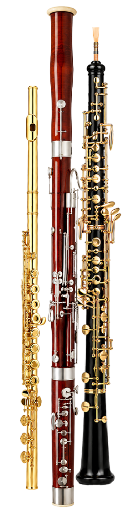 Oboé